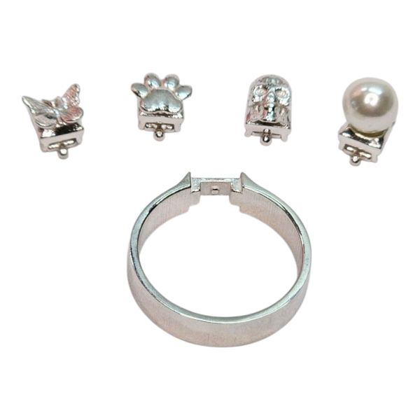 Exclusivo Anillo Místico de Plata con 4 Sellos Intercambiables | Activa tu Energía